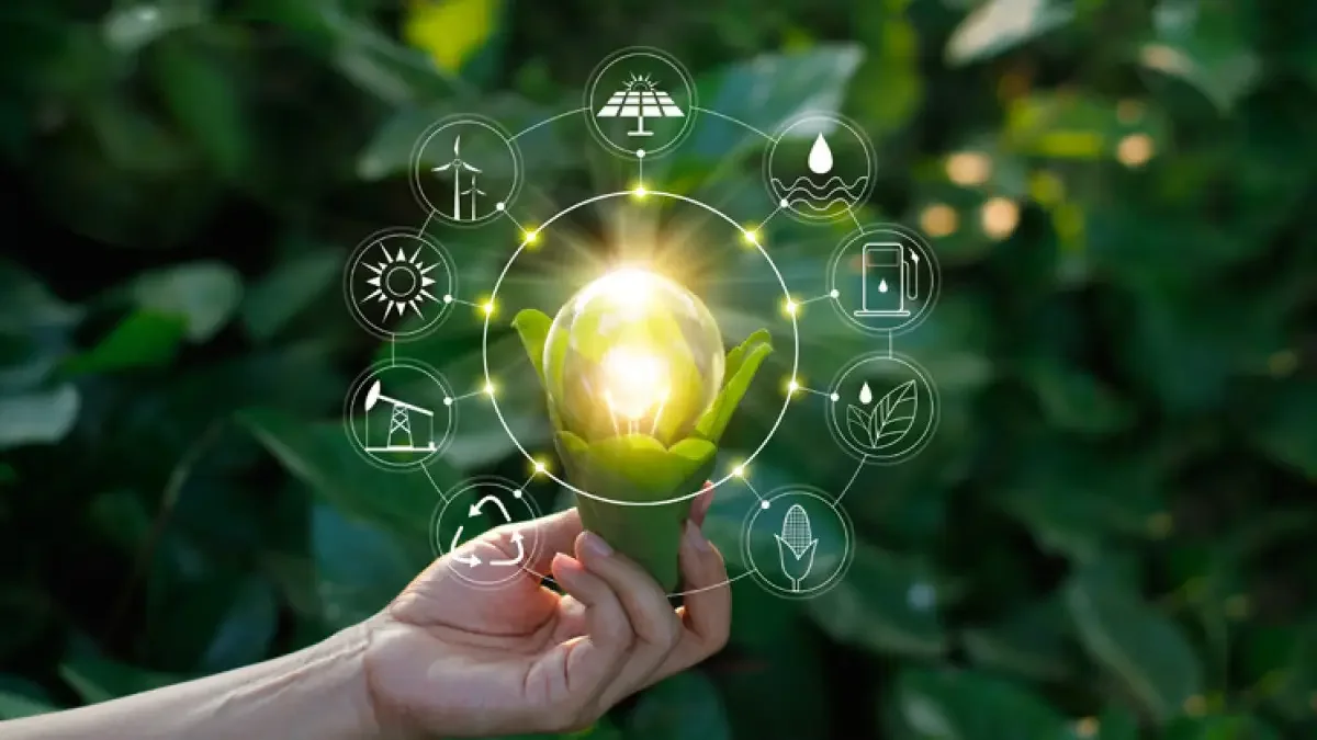 Resources - Treelife