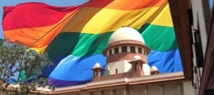 Resources - Treelife