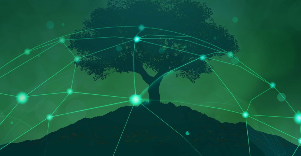 Resources - Treelife