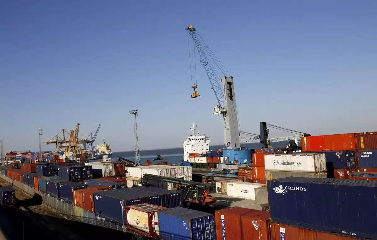 Resources - Treelife