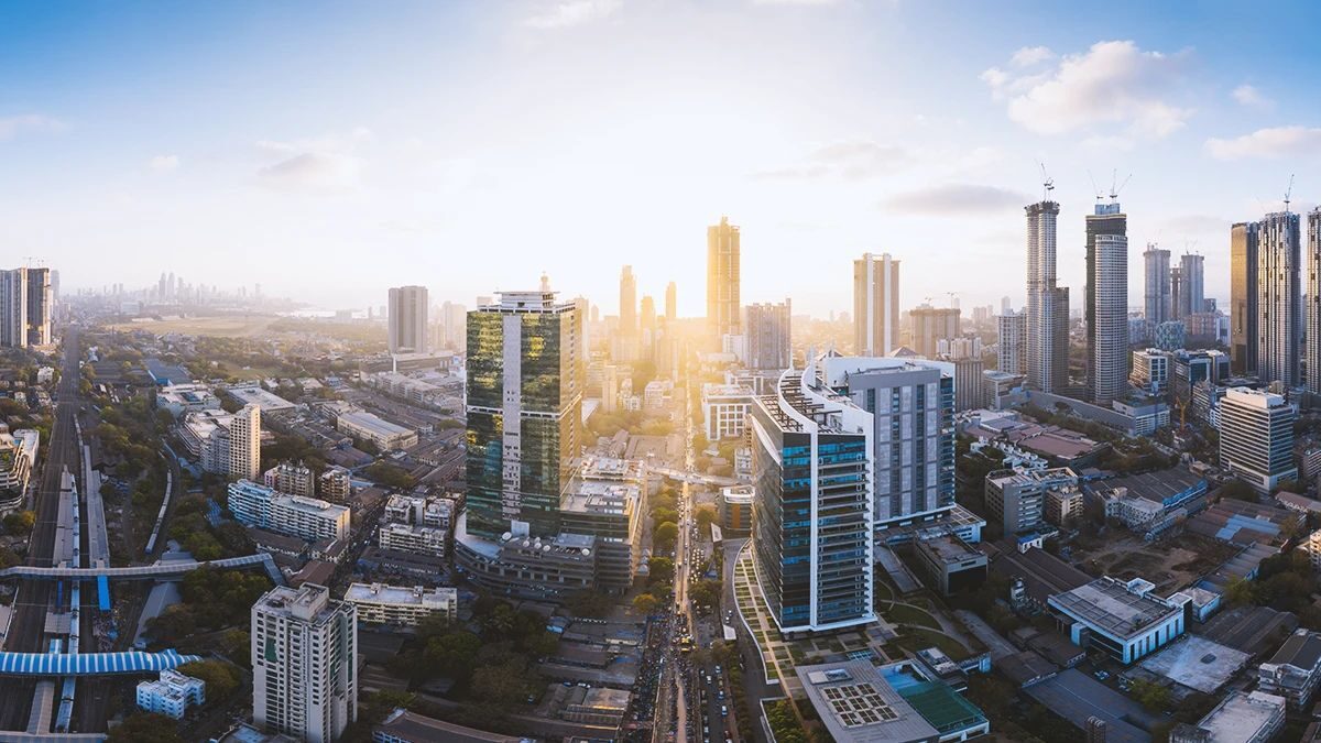 Resources - Treelife