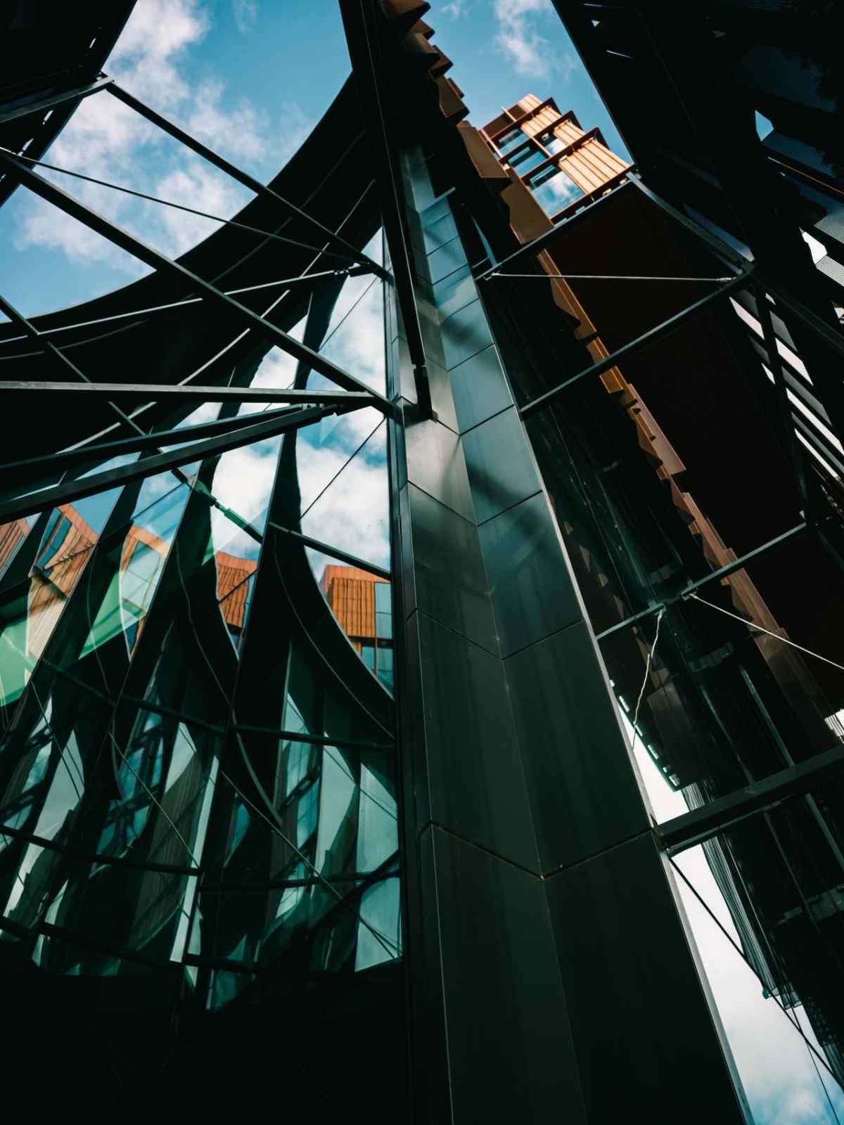 Second Advisor Engagement alongside First – The Founder’s Perspective